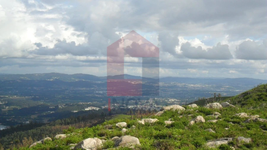 Terreno para Venda em Pico de Regalados, Gondiães e Mós Foto 11