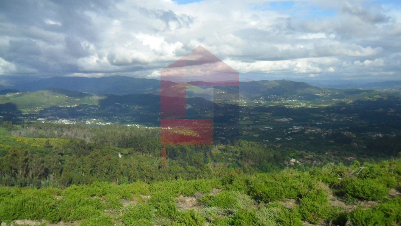 Terreno para Venda em Pico de Regalados, Gondiães e Mós Foto 8