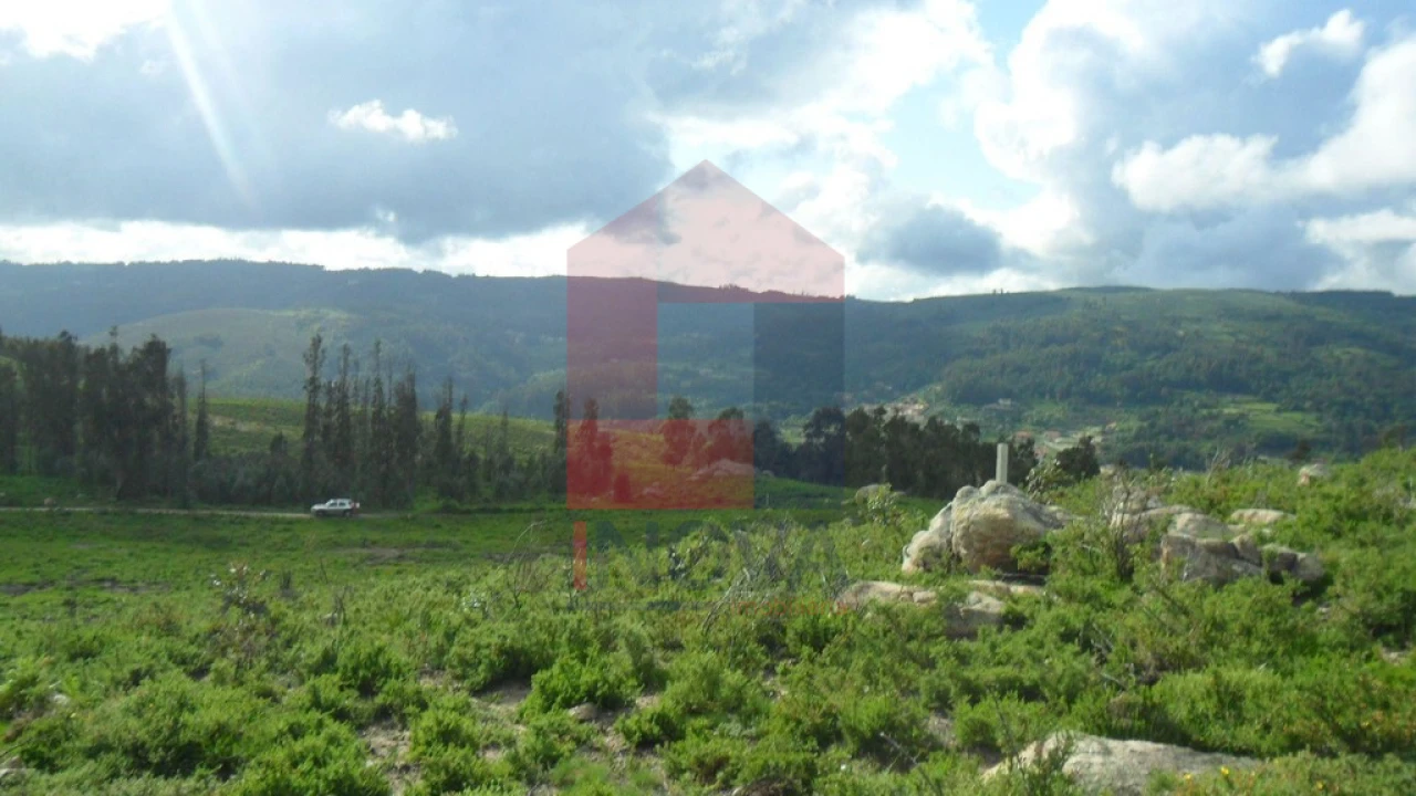 Terreno para Venda em Pico de Regalados, Gondiães e Mós Foto 13