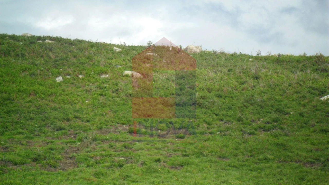 Terreno para Venda em Pico de Regalados, Gondiães e Mós Foto 7