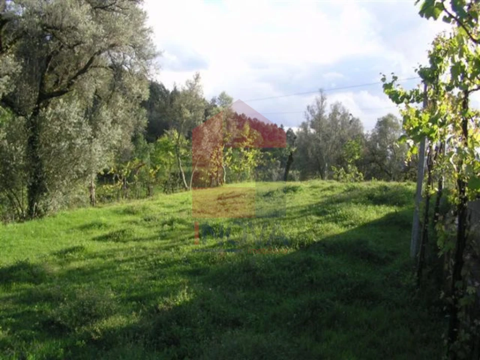 Terreno para Venda em Sande, Vilarinho, Barros e Gomide Foto 3