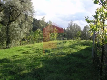 Terreno para Venda em Sande, Vilarinho, Barros e Gomide