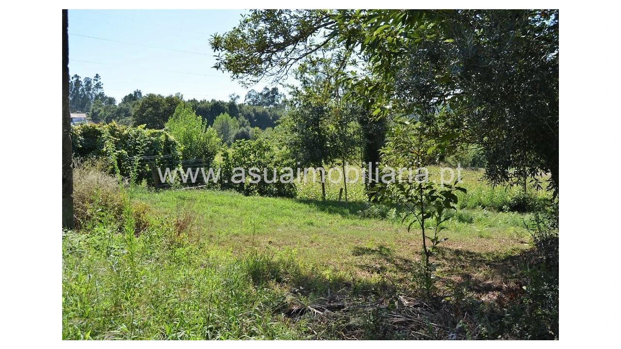 Quinta para Venda em Fiscal Foto 17