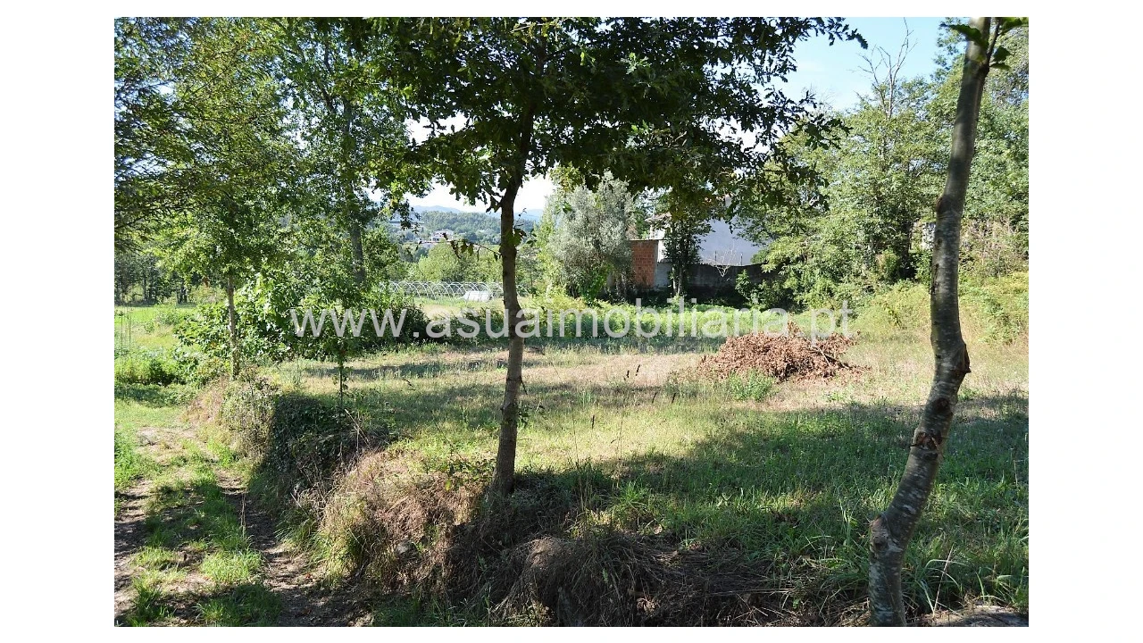 Quinta para Venda em Fiscal Foto 19