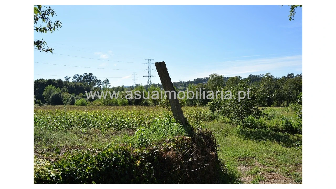 Quinta para Venda em Fiscal Foto 22
