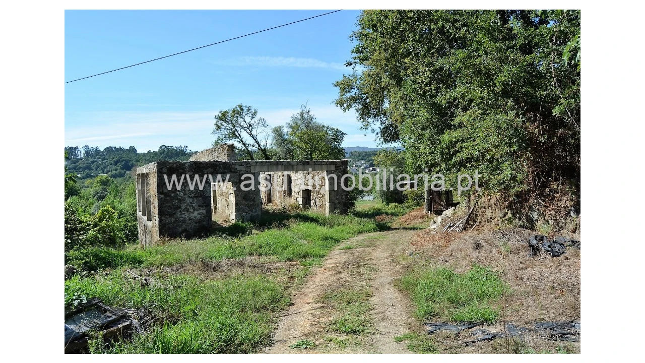 Quinta para Venda em Fiscal Foto 2