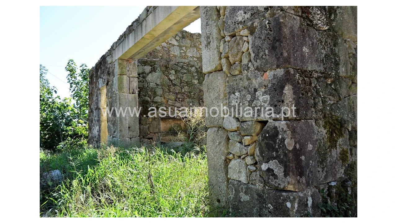 Quinta para Venda em Fiscal Foto 10