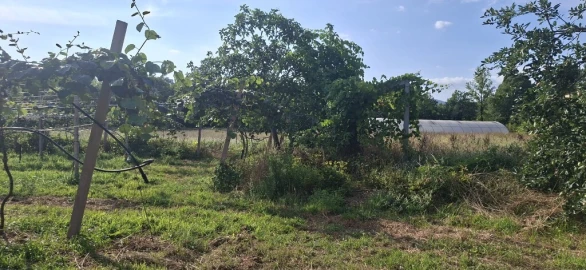 Quinta para Venda em Fiscal