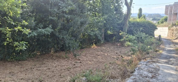 Quinta para Venda em Fiscal