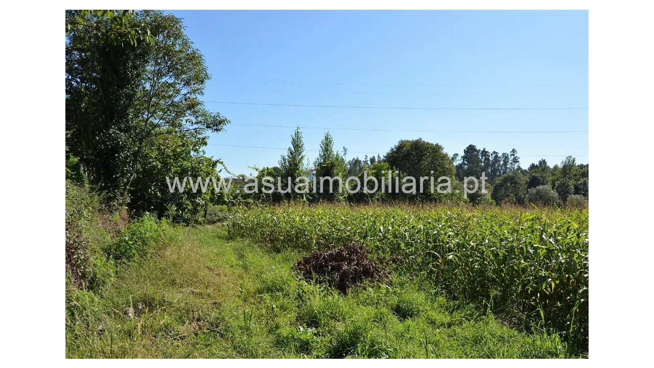 Quinta para Venda em Fiscal Foto 25