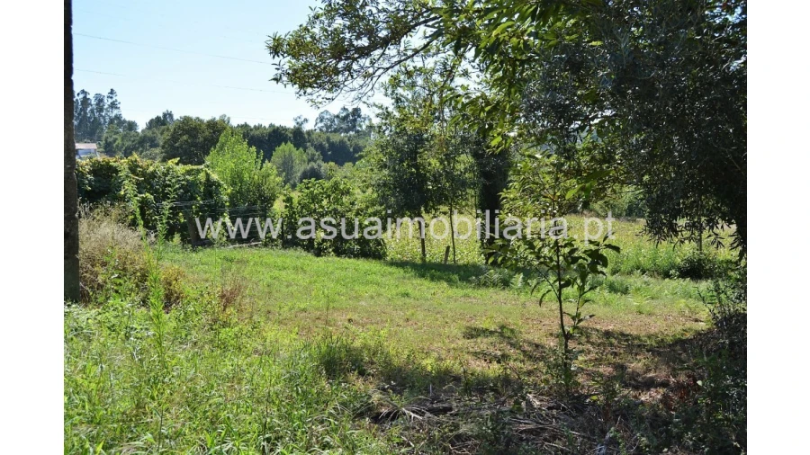 Quinta para Venda em Fiscal Foto 17