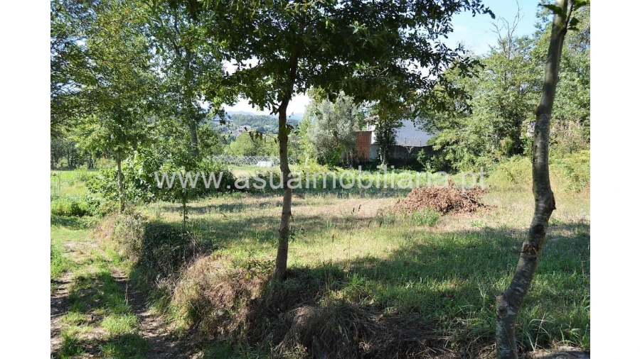 Quinta para Venda em Fiscal Foto 19