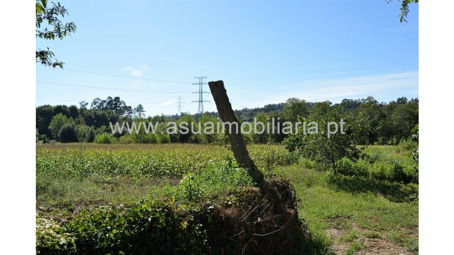Quinta para Venda em Fiscal Foto 22