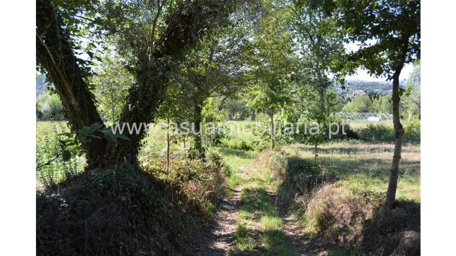 Quinta para Venda em Fiscal Foto 18