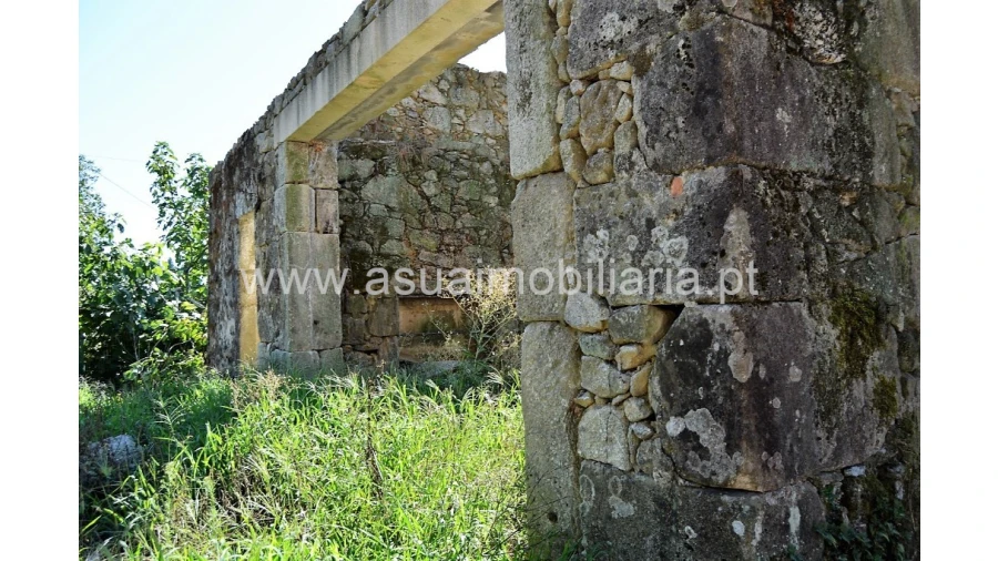 Quinta para Venda em Fiscal Foto 10
