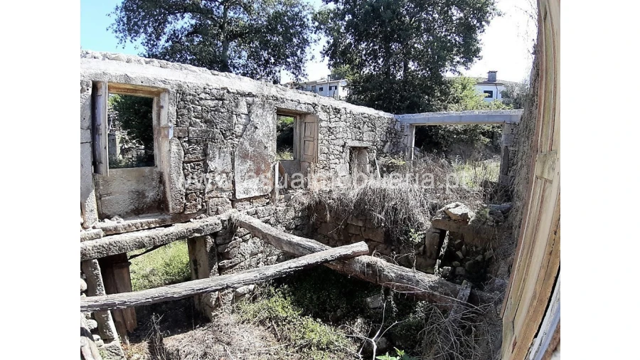 Quinta para Venda em Fiscal Foto 4