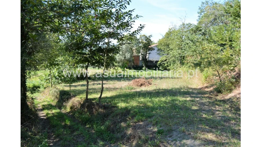 Quinta para Venda em Fiscal Foto 16