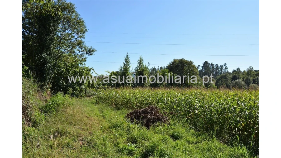 Quinta para Venda em Fiscal Foto 25