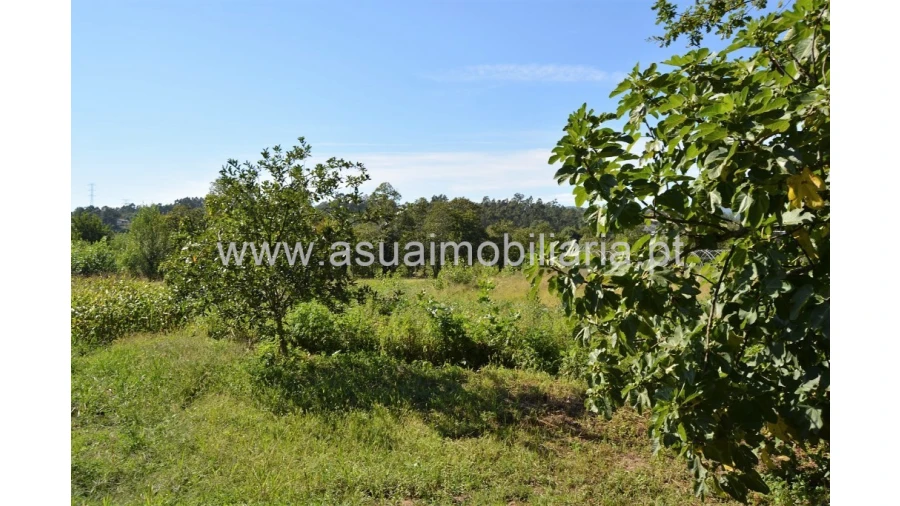 Quinta para Venda em Fiscal Foto 24