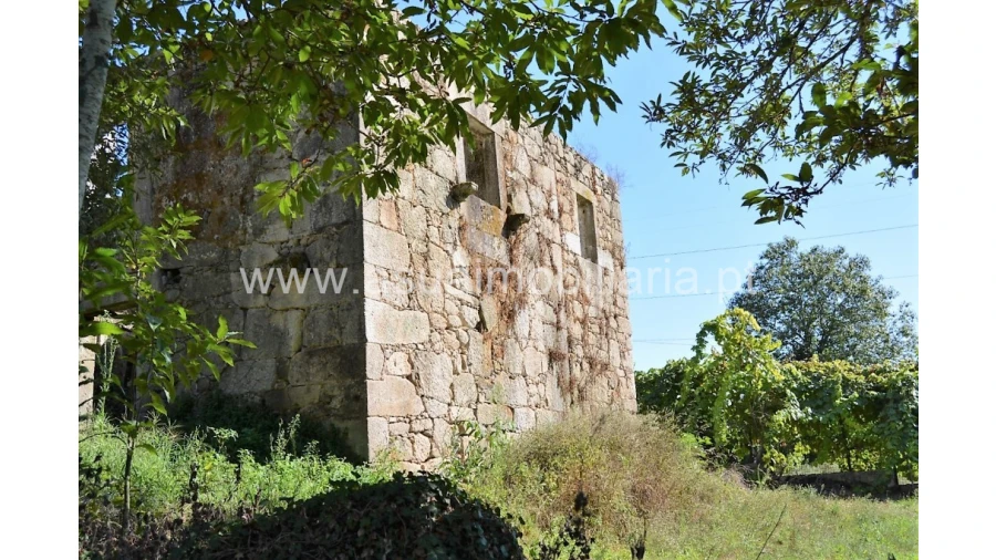 Quinta para Venda em Fiscal Foto 20