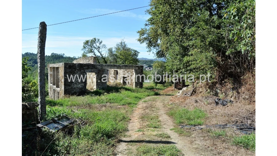 Quinta para Venda em Fiscal Foto 29