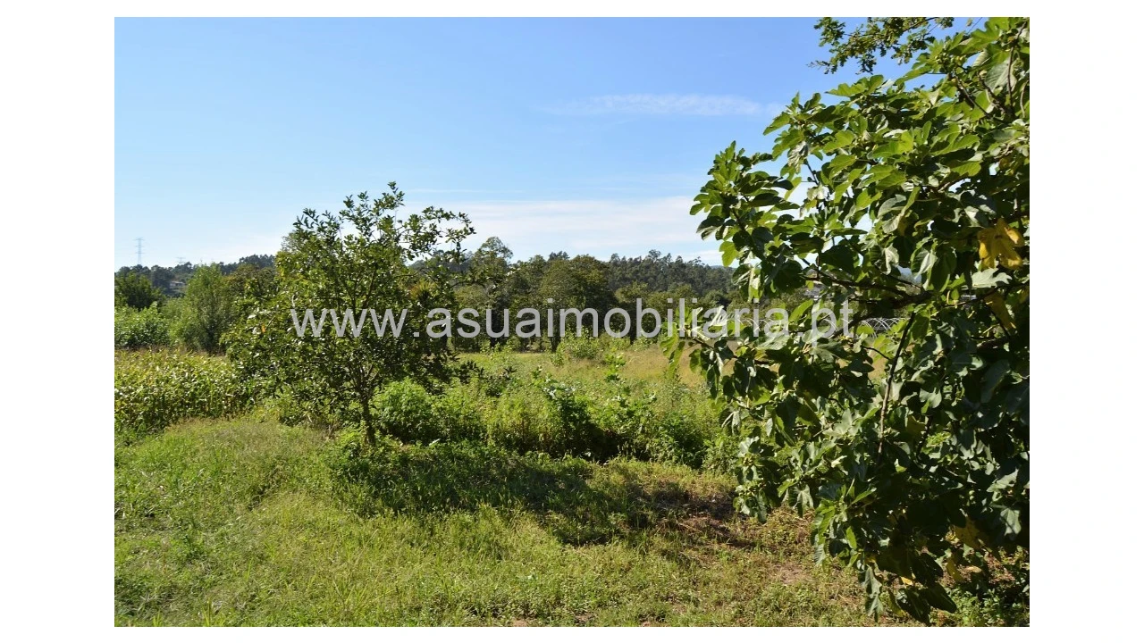 Quinta para Venda em Fiscal Foto 24