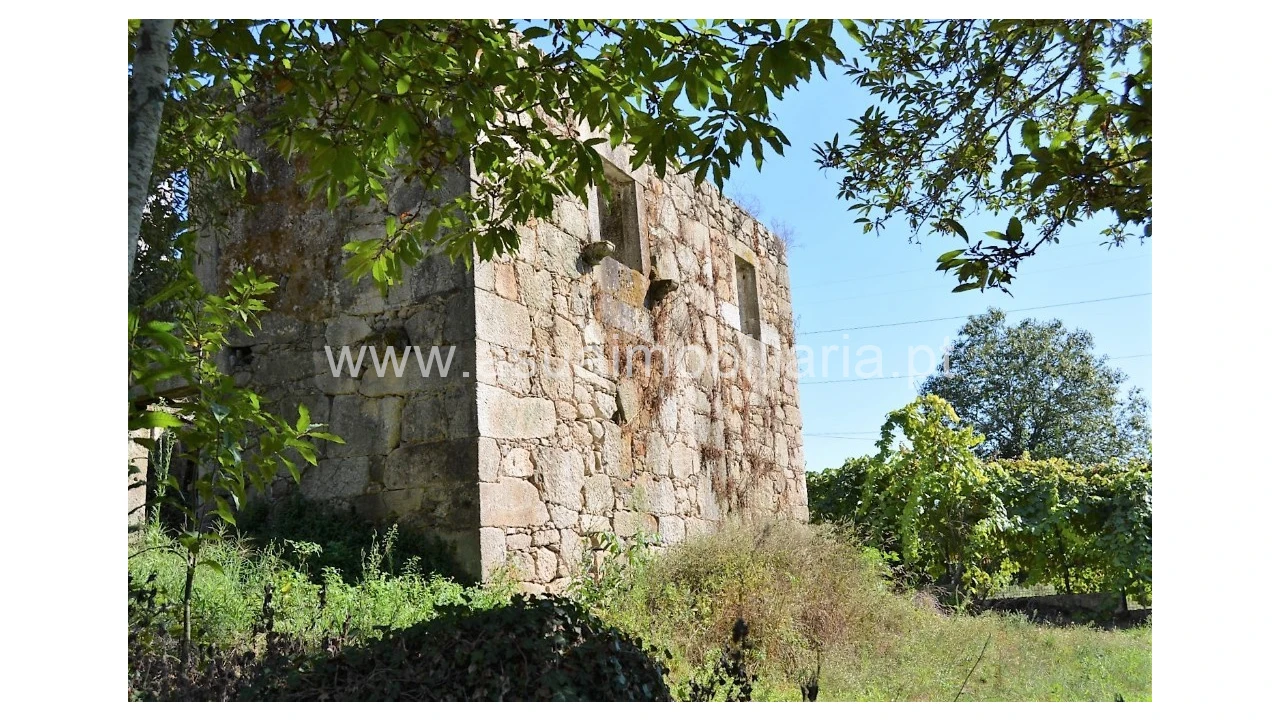 Quinta para Venda em Fiscal Foto 20