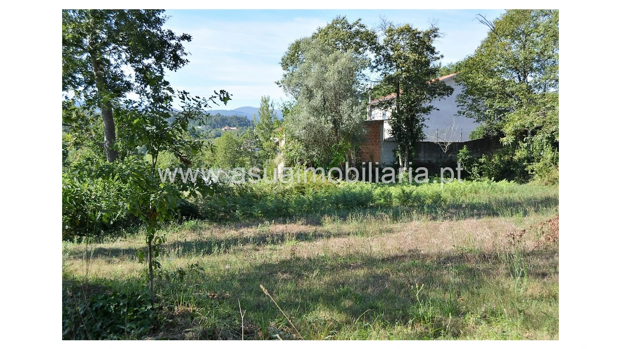 Quinta para Venda em Fiscal Foto 21