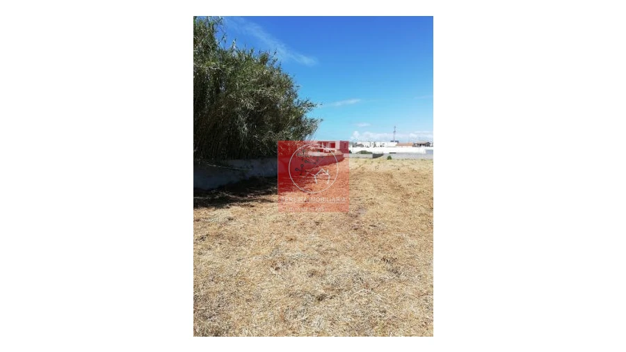 Terreno para Venda em Póvoa de Varzim, Beiriz e Argivai Foto 15
