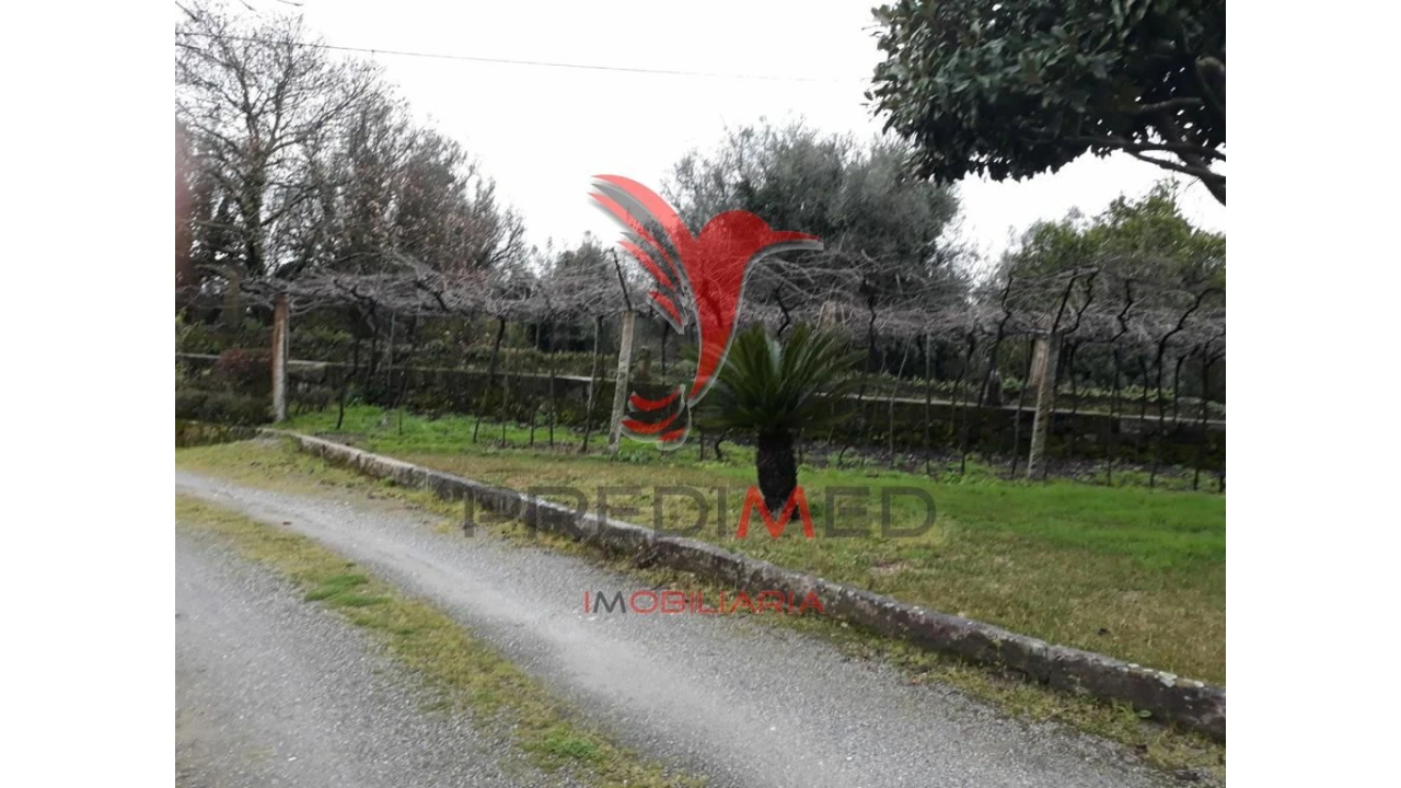 Moradia T7 para Venda em Sa Foto 2