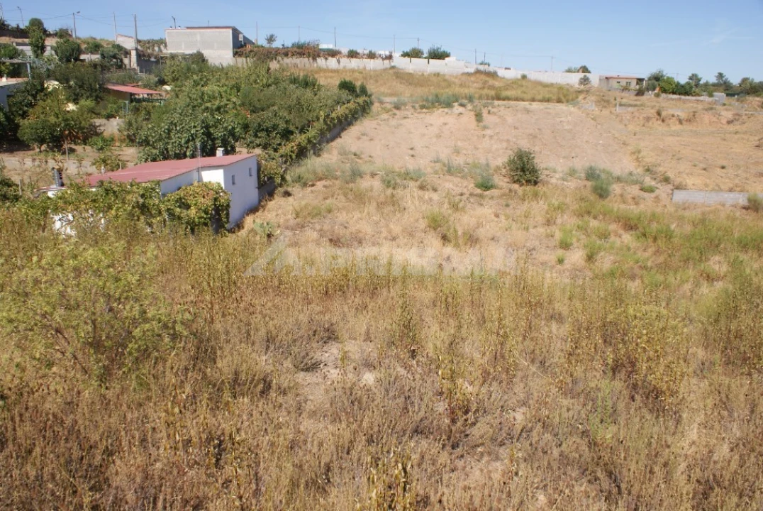Terreno para Venda em Castelo Branco Foto 1