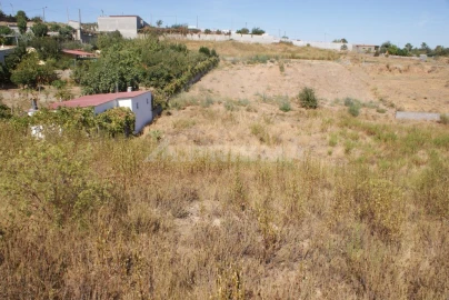 Terreno para Venda em Castelo Branco