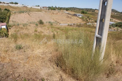 Terreno para Venda em Castelo Branco