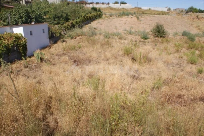 Terreno para Venda em Castelo Branco