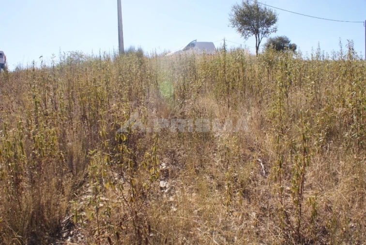 Terreno para Venda em Castelo Branco Foto 5