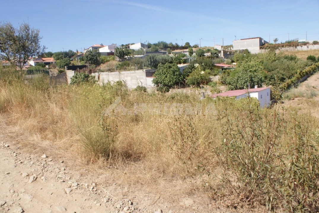 Terreno para Venda em Castelo Branco Foto 4