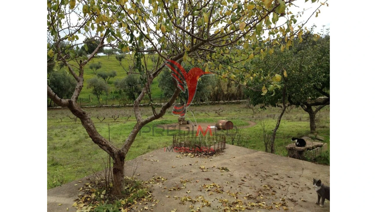 Quinta T2 para Venda em Avis Foto 1