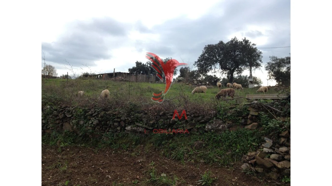 Quinta T2 para Venda em Avis Foto 5