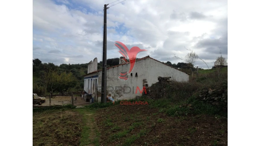 Quinta T2 para Venda em Avis Foto 6