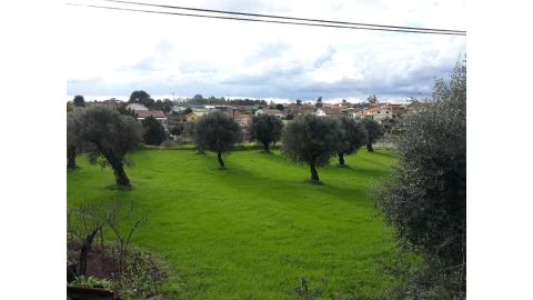 Terreno para Venda em São João do Campo
