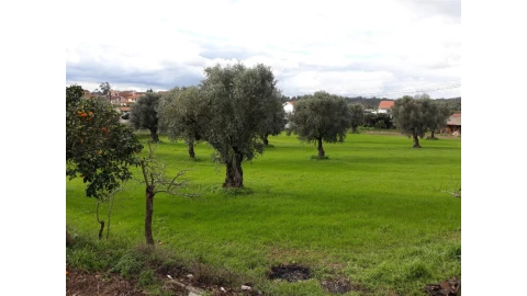 Terreno para Venda em São João do Campo