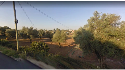 Terreno para Venda em São João do Campo