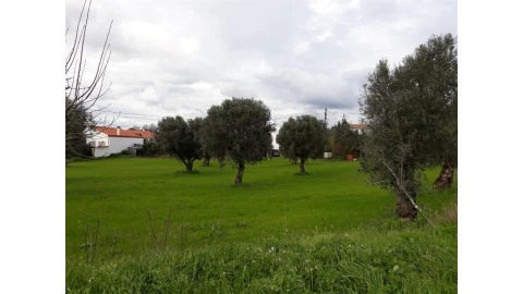 Terreno para Venda em São João do Campo