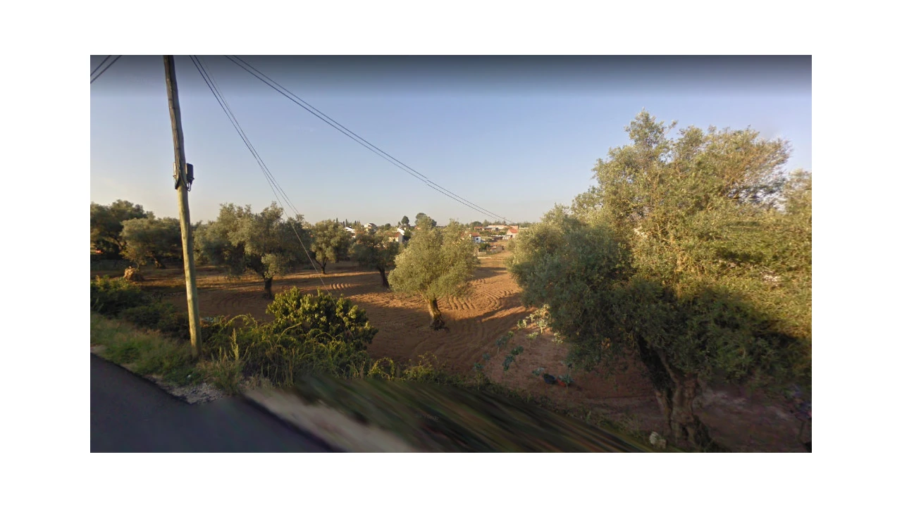 Terreno para Venda em São João do Campo Foto 7