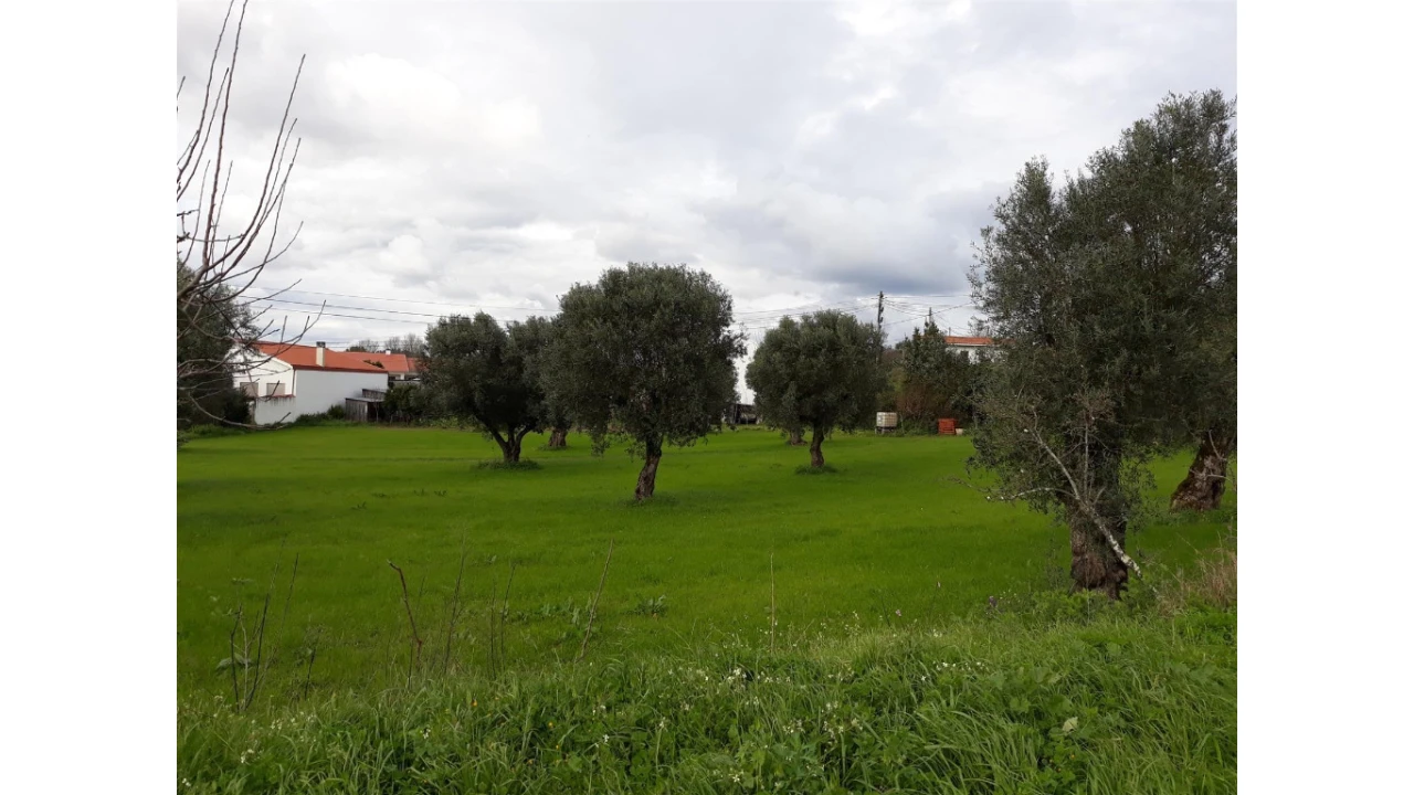 Terreno para Venda em São João do Campo Foto 3