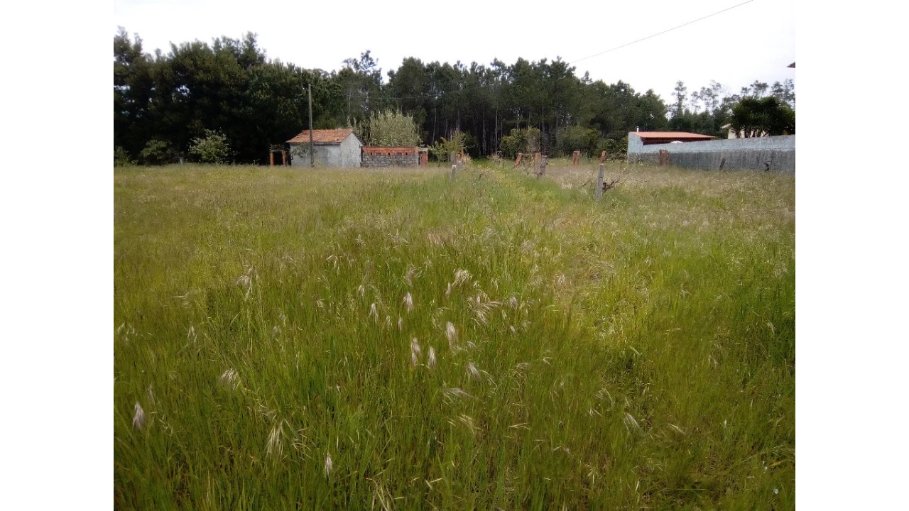 Terreno para Venda em Montemor-O-Velho e Gatões Foto 3