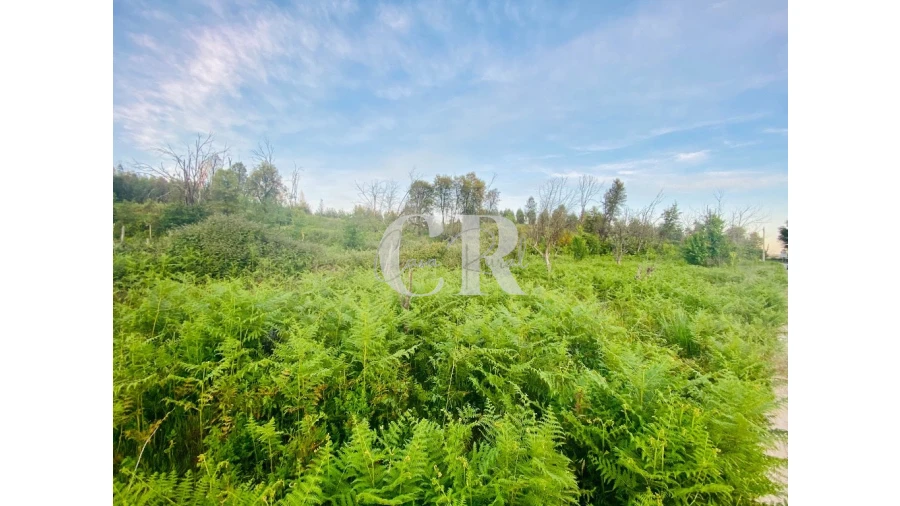 Terreno para Venda em Graça Foto 2