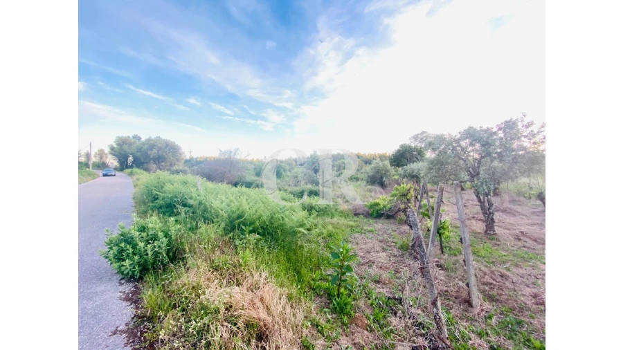 Terreno para Venda em Graça Foto 1