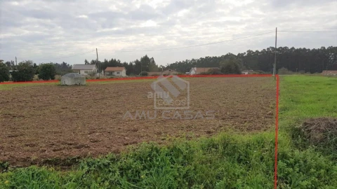Terreno para Venda em Beduído e Veiros