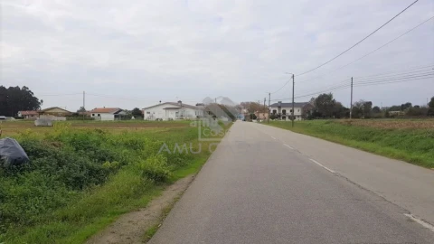 Terreno para Venda em Beduído e Veiros